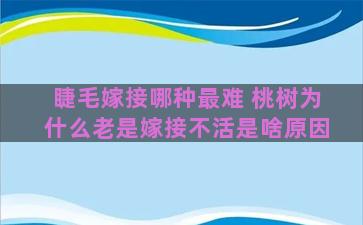 睫毛嫁接哪种最难 桃树为什么老是嫁接不活是啥原因